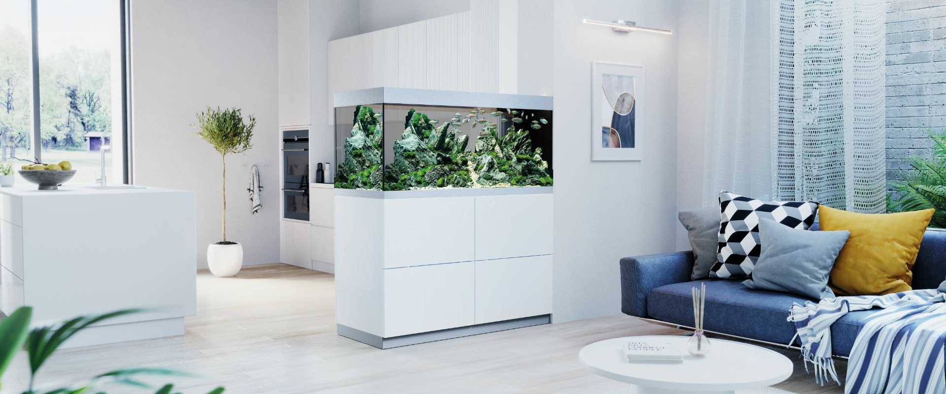 Titelbild petonus.at