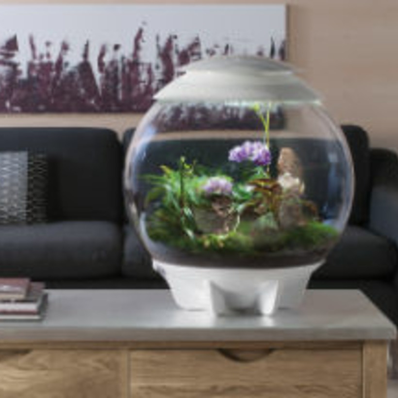 Terraristik