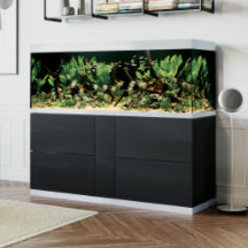 Süßwasser Aquarium